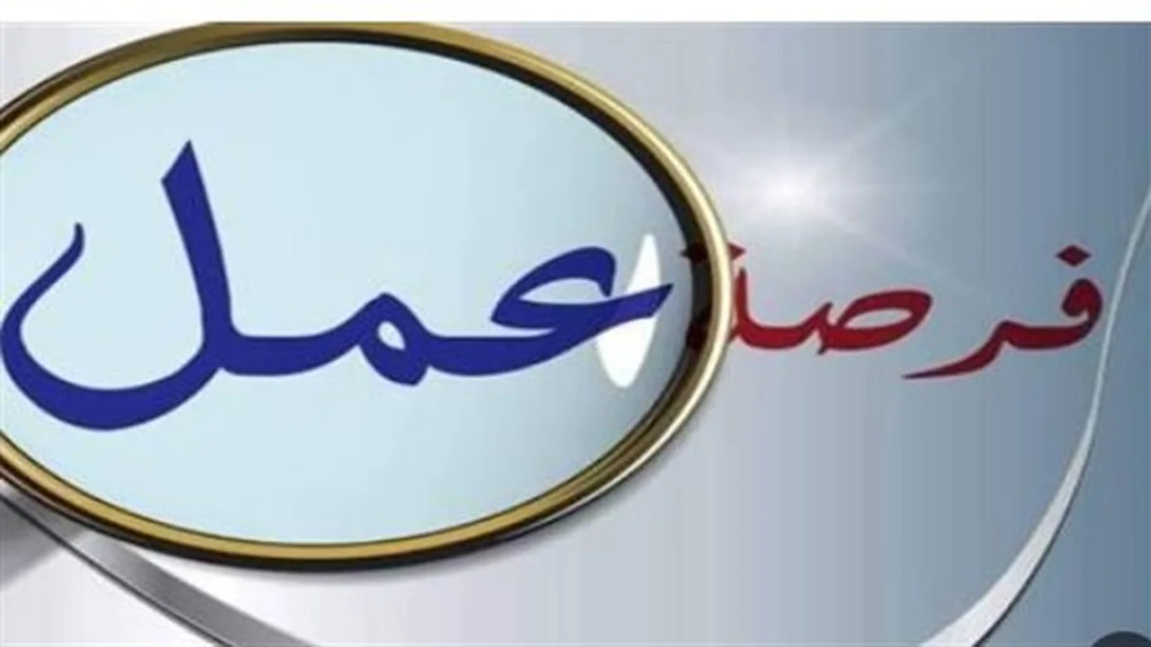 6700 فرصة عمل بالقطاع الخاص توفر وظائف متنوعة للشباب وذوي الهمم